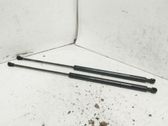 Tailgate/trunk/boot lid buffer