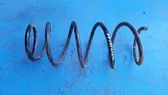 Front coil spring