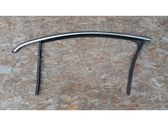 Front door rubber seal