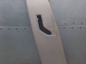 (B) pillar trim (top)