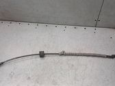 Rear door cable line