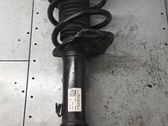 Front shock absorber/damper