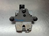 Tailgate/trunk/boot lock/catch/latch