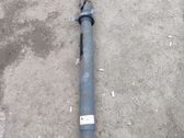 Drive shaft (set)