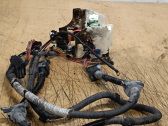 Other wiring loom