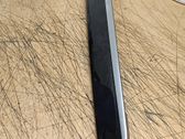 Other rear door trim element