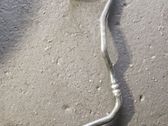 Kühlleitung / Kühlschlauch