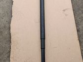 Tailgate/trunk strut/damper
