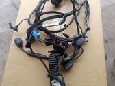 Front door wiring loom