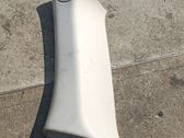 (C) pillar trim