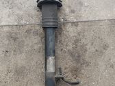 Rear shock absorber/damper