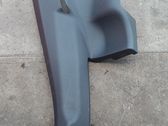 (D) pillar trim (bottom)