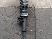 Front shock absorber with coil spring