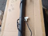 Tailgate/trunk strut/damper