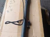 Tailgate/trunk strut/damper