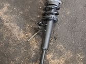 Front shock absorber with coil spring