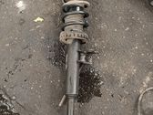 Front shock absorber with coil spring