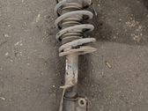 Front shock absorber with coil spring