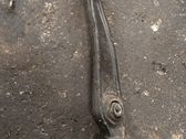 Front lower control arm/wishbone
