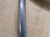 Rear door handle trim