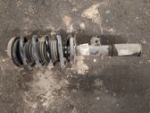 Front shock absorber with coil spring