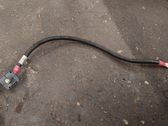 Wires (starter motor)