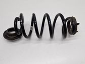 Rear coil spring