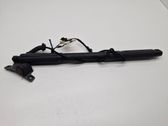 Tailgate/trunk strut/damper