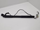 Tailgate/trunk strut/damper