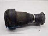 Rear air suspension bag/shock absorber