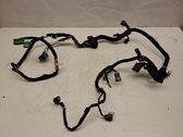 Other wiring loom