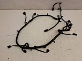 Parking sensor (PDC) wiring loom