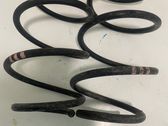 Front coil spring