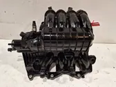 Intake manifold