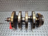 Vilebrequin du moteur