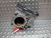 Throttle body valve