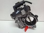 Throttle body valve