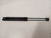 Tailgate/trunk strut/damper