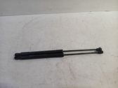 Tailgate/trunk strut/damper