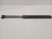 Tailgate/trunk strut/damper