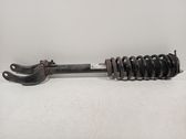 Front shock absorber/damper