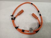 Other wiring loom