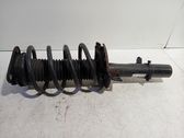 Front shock absorber/damper