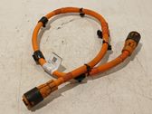 Other wiring loom