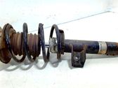 Front shock absorber/damper