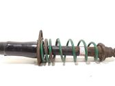 Stoßdämpfer hinten