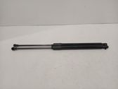 Tailgate/trunk strut/damper