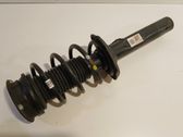Front shock absorber/damper