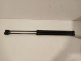 Tailgate/trunk strut/damper