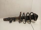 Front shock absorber/damper